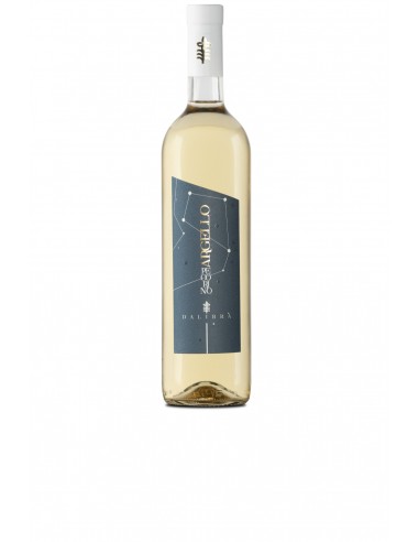 Argello Pecorino IGP Terre di Chieti